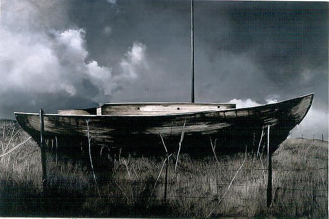Michael Gregory Rara Avis, 2002