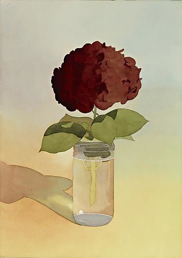 Mark Adams,