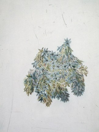 Kiki Smith Untitled (Hydrangea), from Touch, 2006