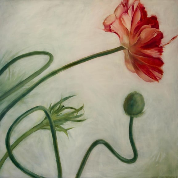 Clare Kirkconnell Ranunculust, 2020