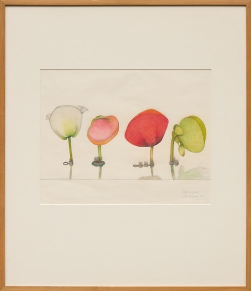 Beth Van Hoesen