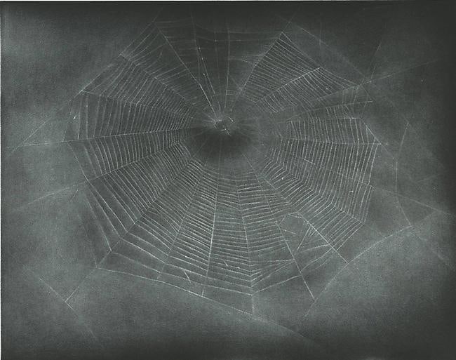 Vija Celmins Untitled (Web 3), 2002
