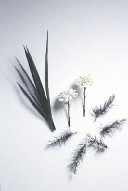 Second Arrangement 2002