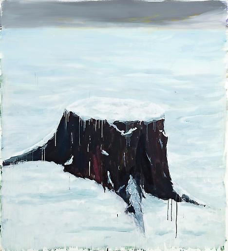 The Stump 2007