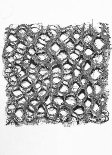 Cell 2006 bronze