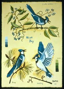 Blue Jays 2004