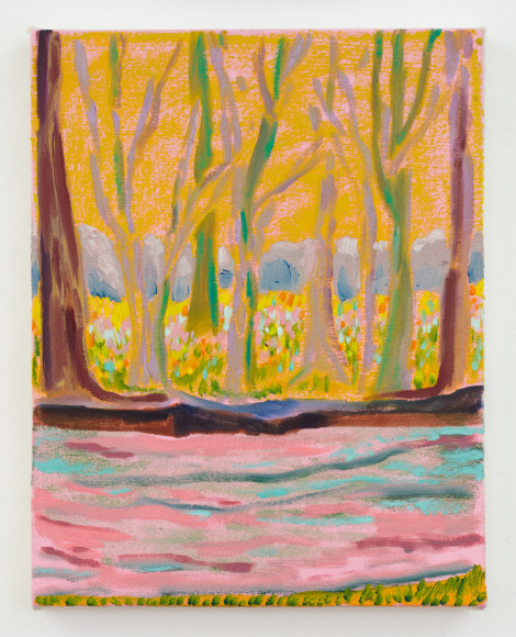 Spring Tea Tree, 2018