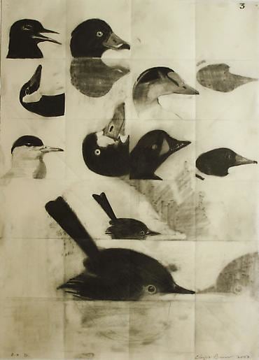 Christopher Brown Book of Duck III