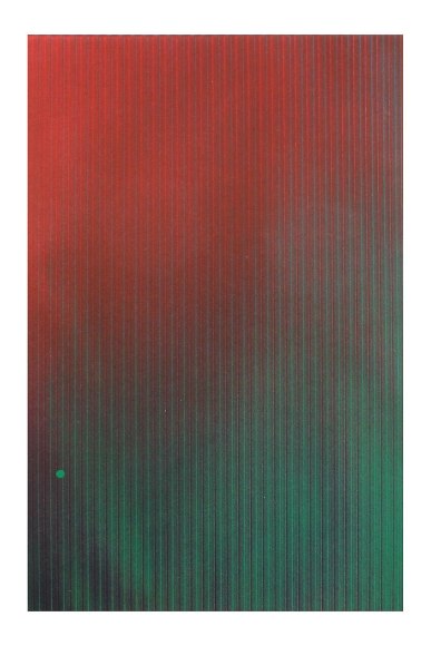 Tauba Auerbach,
