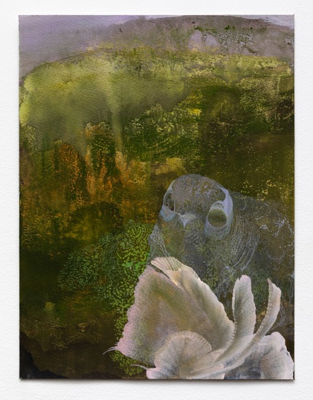 Darren Waterston Owl Dreaming, 2024