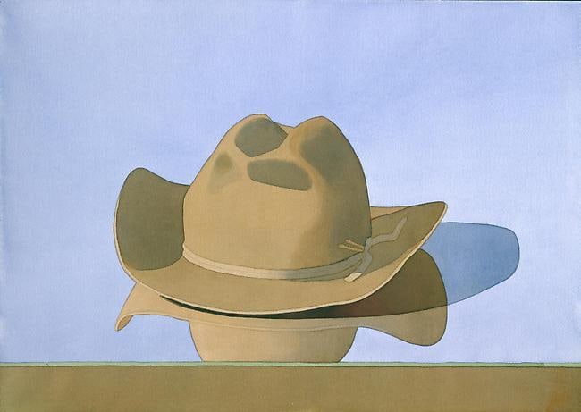 Hat with Reflection