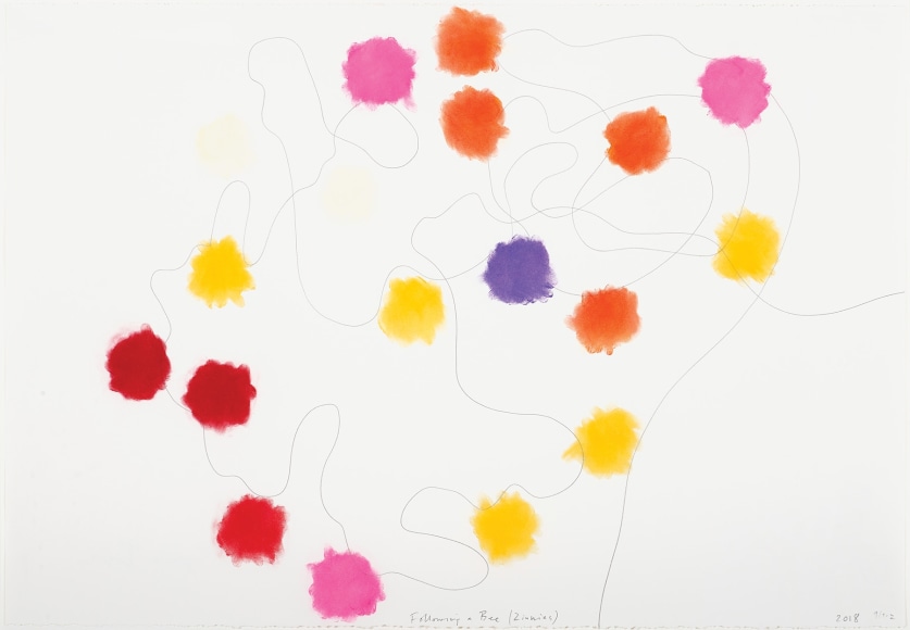Following a Bee (Zinnias), 2018