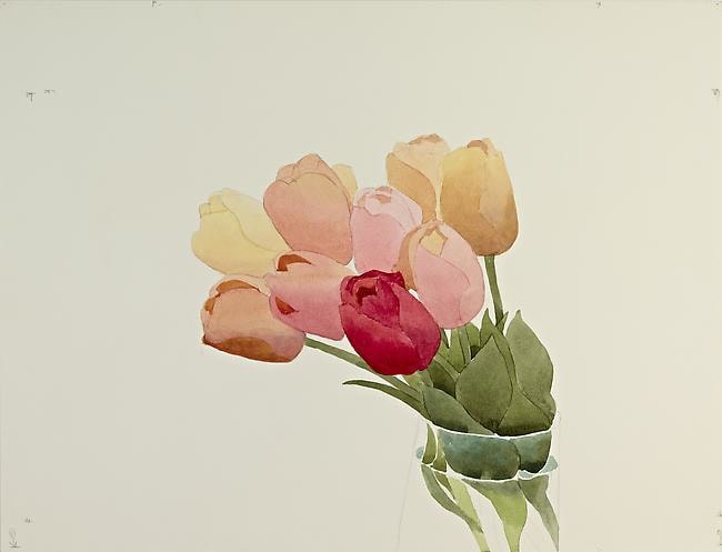 Mark Adams,