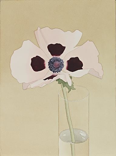 Mark Adams,