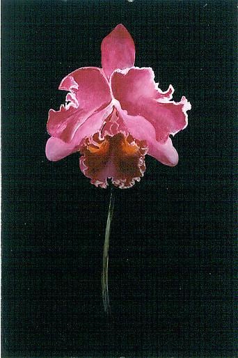 Michael Gregory Untitled, 2002