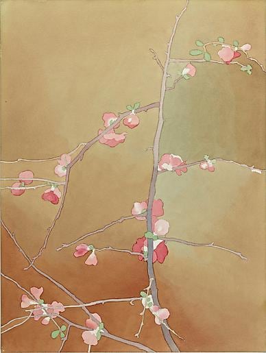 Mark Adams,