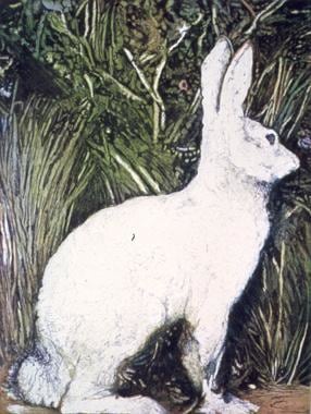 Joseph Raffael Future Memory