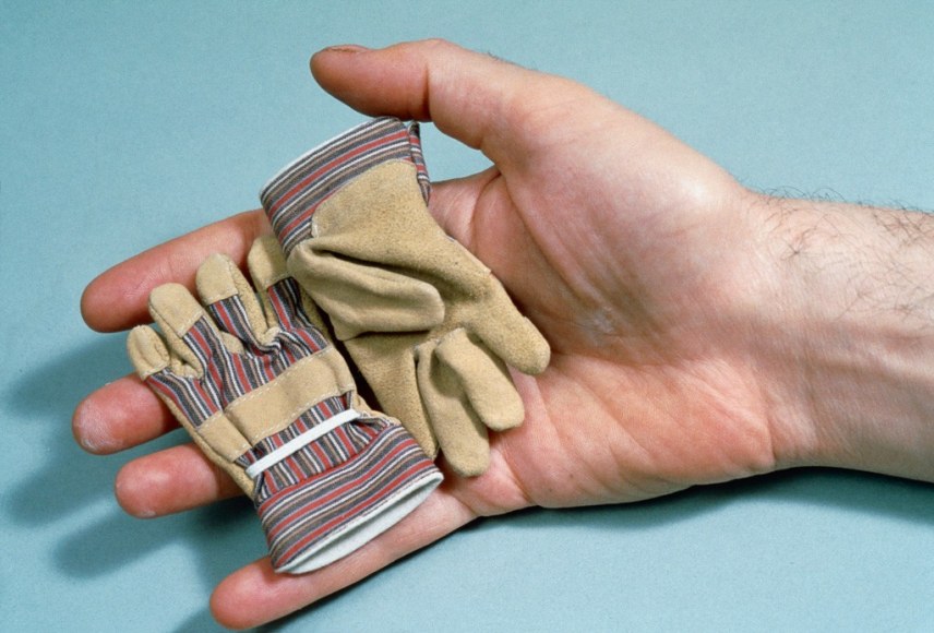 Bill Burns, Safety Gear for Small Animals,&nbsp;1994