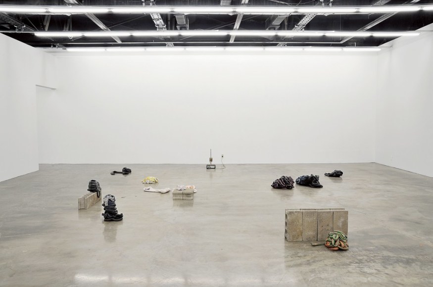 Nina Canell, Shedding Sheaths (H)