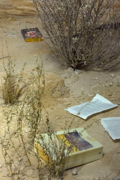 Dominique Gonzalez-Foerster, Installation view: chronotopes &amp; dioramas, Dia Art Foundation, New York, 2009