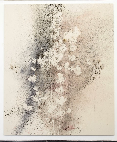 Sam Falls, Untitled (Sarvisalo, Finland, Ash 1), 2014