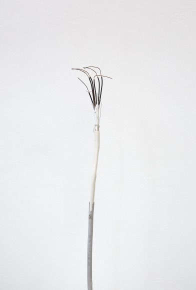 Nina Canell, Installation view: Mid-Sentence, Moderna Museet, Stockholm, 2014