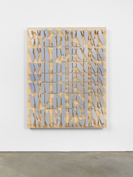 Doug Aitken, WILDERNESS