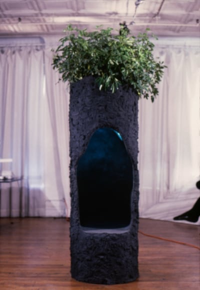 Installation view, Vito Acconci, Nancy Dwyer, Matt Mullican