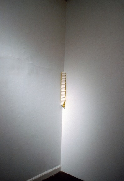 Siobhan Liddel, &quot;Untitled,&quot; 1993