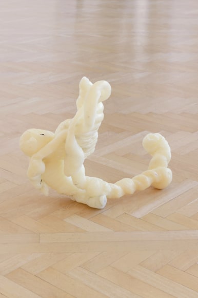 Nina Canell, Installation view: Reflexologies, Kunstmuseum St. Gallen, Switzerland, 2018