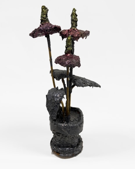 Kevin Stahl, Anthurium in Pot