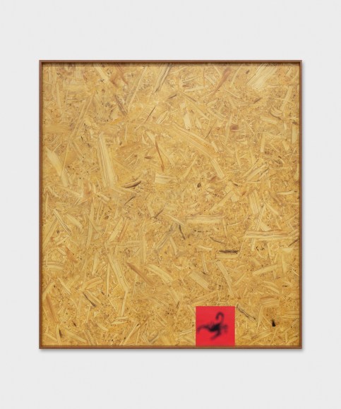 Valentin Carron, Fuzzy Scorpion, 2019