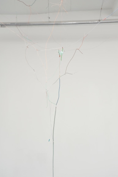 Nina Canell, Installation view: Into the Eyes as Ends of Hair, Cubitt, London, 2012
