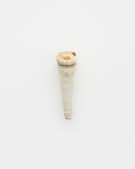 Nina Canell, Tailings