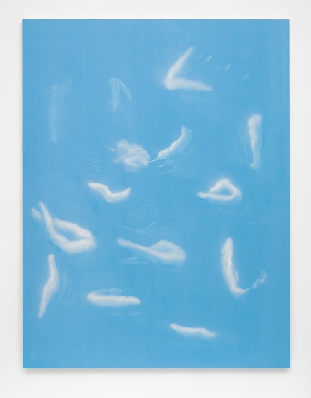 Tala Madani, Shit Glyphs