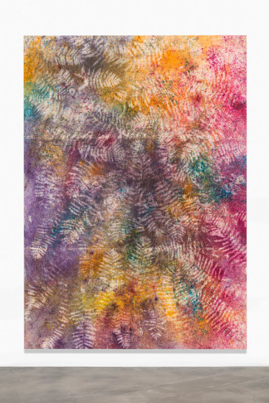 Installation view: Project Series 49: Sam Falls, Pomona College Museum of Art, 2014