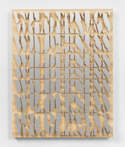 Doug Aitken, WILDERNESS