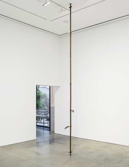 Nina Canell, Hold