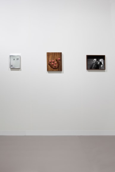 Art Basel, 2013, 303 Gallery, Hall2.1, Booth J21