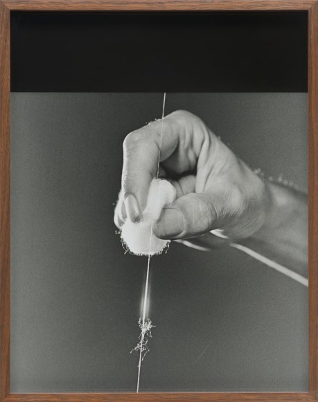 Elad Lassry, String B, 2013
