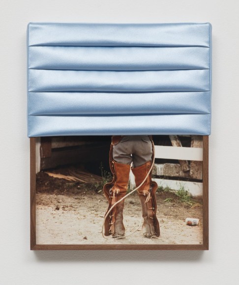 Elad Lassry, Landscape (Chaps), 2014