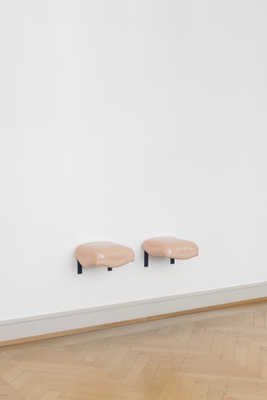 Nina Canell, Installation view: Reflexologies, Kunstmuseum St. Gallen, Switzerland, 2018