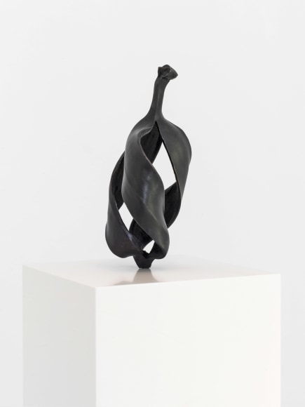 Alicja Kwade, Quantenbanane, 2015