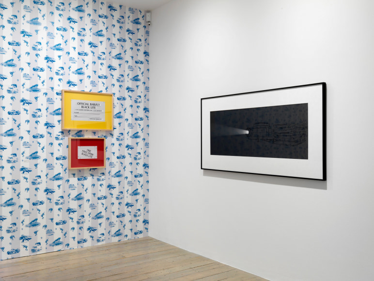 Larry Johnson, Installation view: On Location, Raven Row, London, 2015