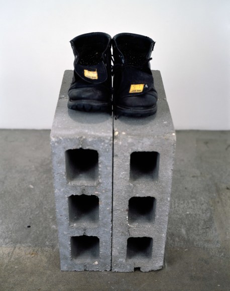 Meyer Vaisman, Cantos II, 1995