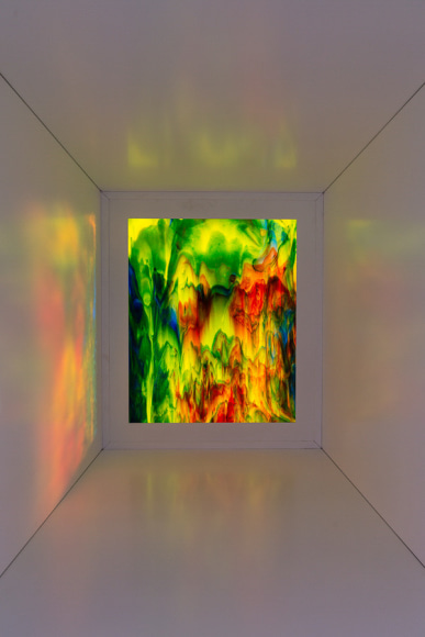 Sam Falls, Untitled (Light Room B), 2014
