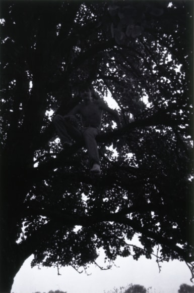 Collier Schorr, from The Singing Detective, 1995