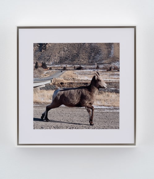 Stephen Shore, Gardiner, Montana, December 27, 2019