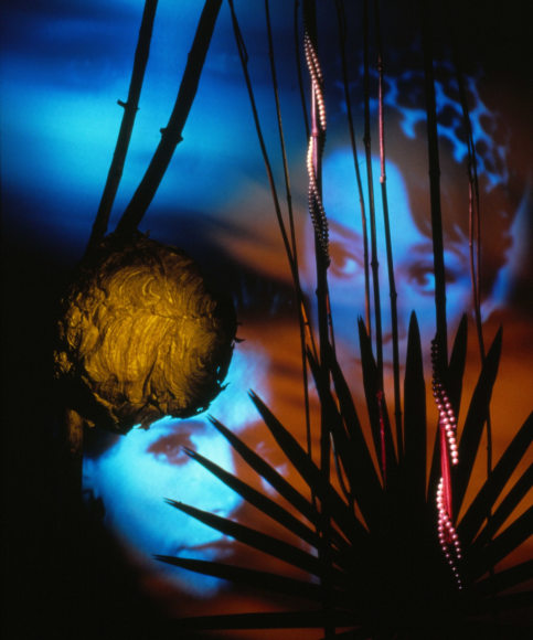 Frank Majore, Hornet's Nest, 1985