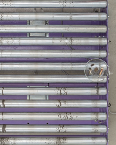 Nina Canell, Tectonic Tender (detail)